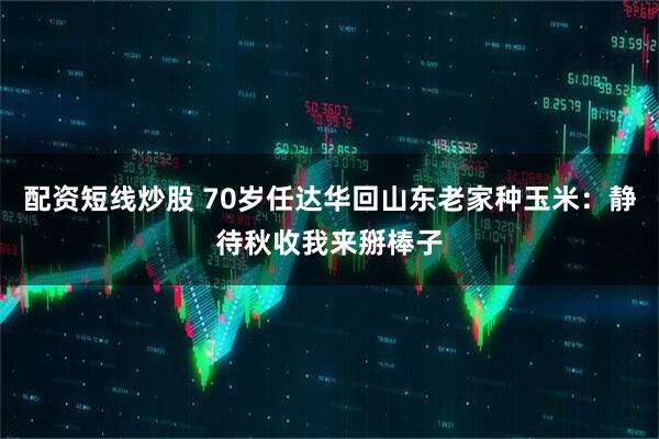 配资短线炒股 70岁任达华回山东老家种玉米：静待秋收我来掰棒子